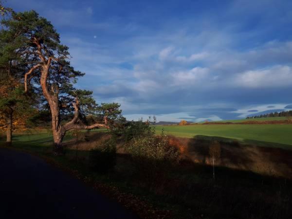 Pokoje Goscinne U Reni Wambierzyce Esterno foto