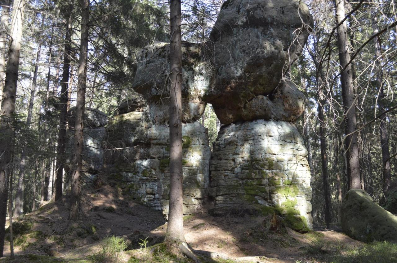 Pokoje Goscinne U Reni Wambierzyce Esterno foto